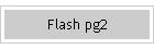 Flash pg2